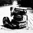 Rose Vagabond, trad et cajun, 2014